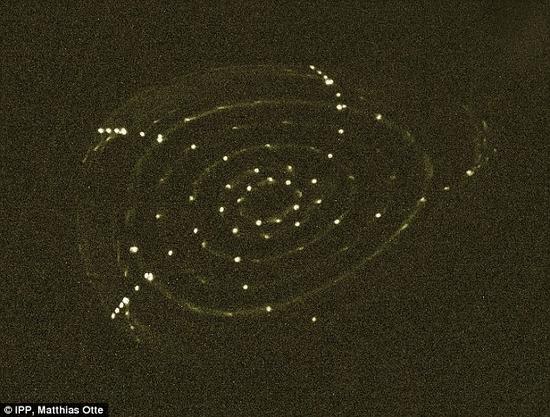 該系統(tǒng)初次測(cè)試時(shí)的圖像，顯示了熒光分支閉合的過(guò)程，使嵌套的磁場(chǎng)表面變得可見(jiàn)。